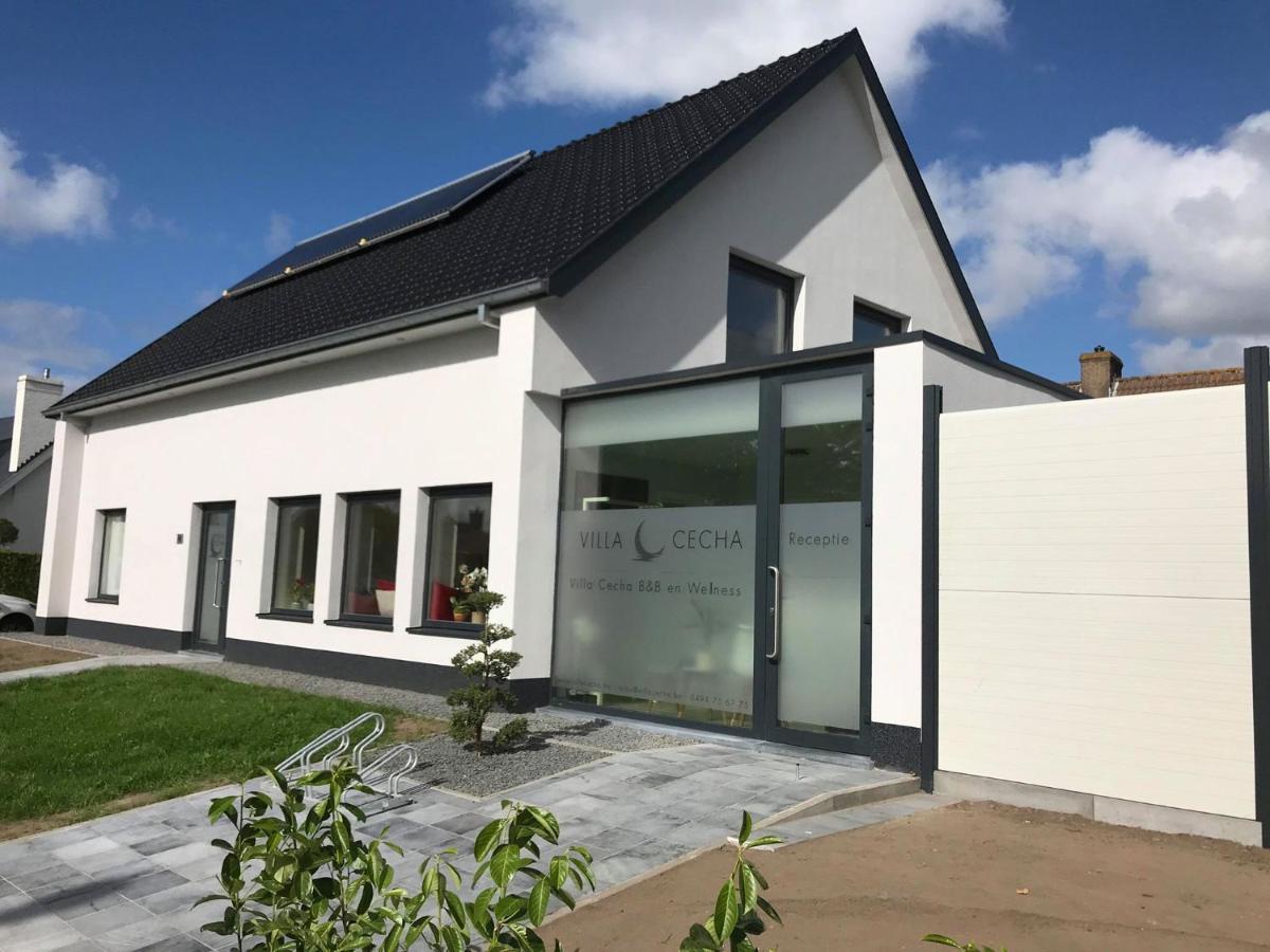Villa Cecha B&B &Wellness Ostend Exterior photo